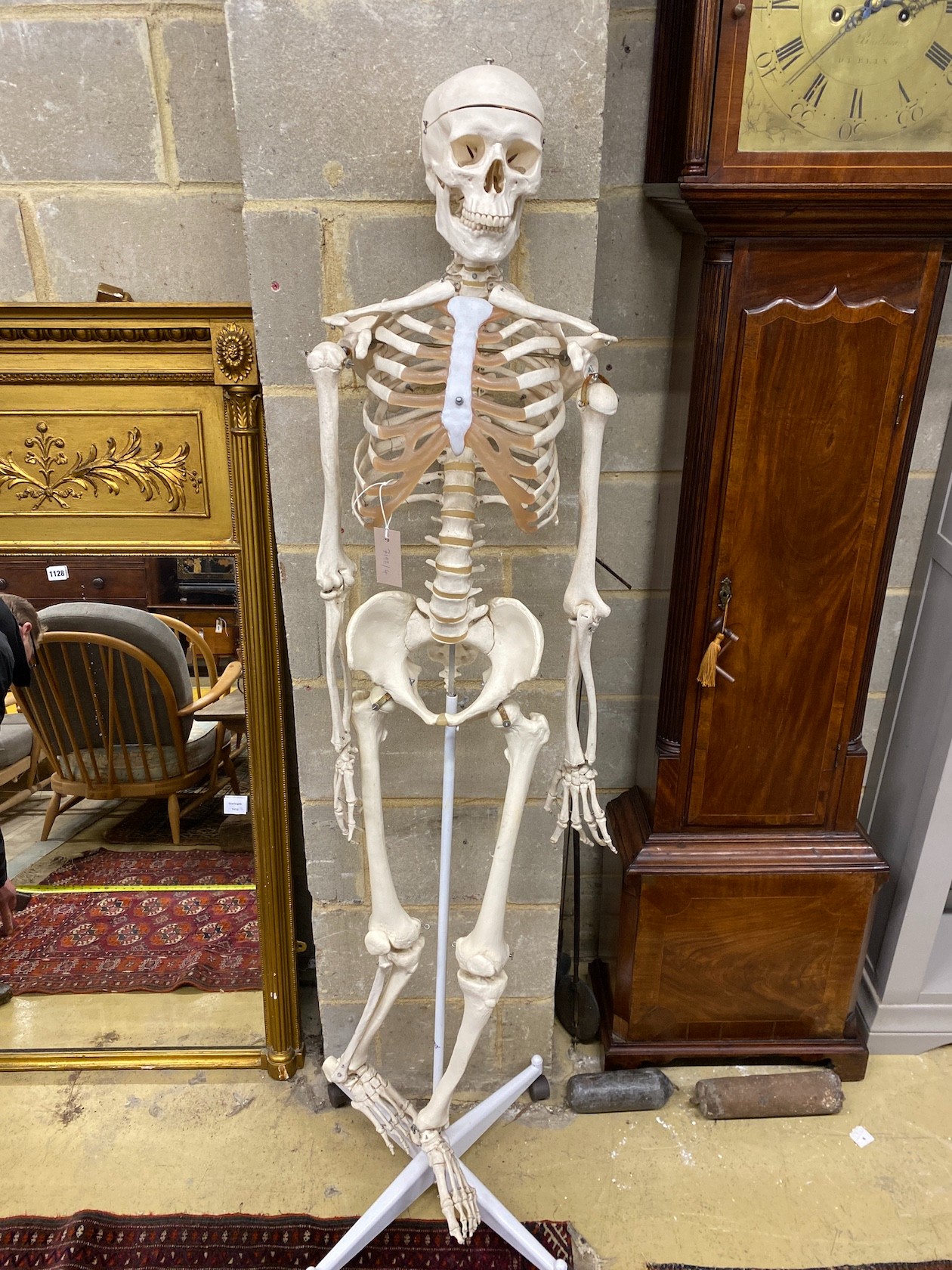 A composition life-size skeleton on stand, height 172cm
